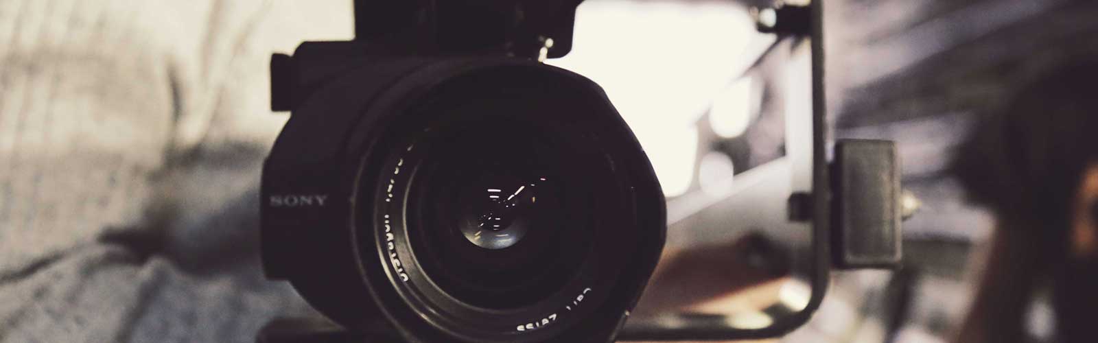 BLVD Sarasota, Sarasota Film Festival