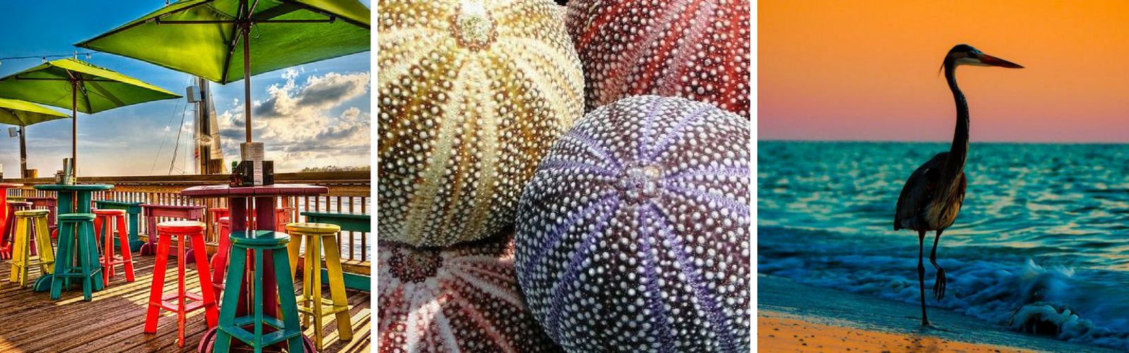 Sarasota - the best city In The South