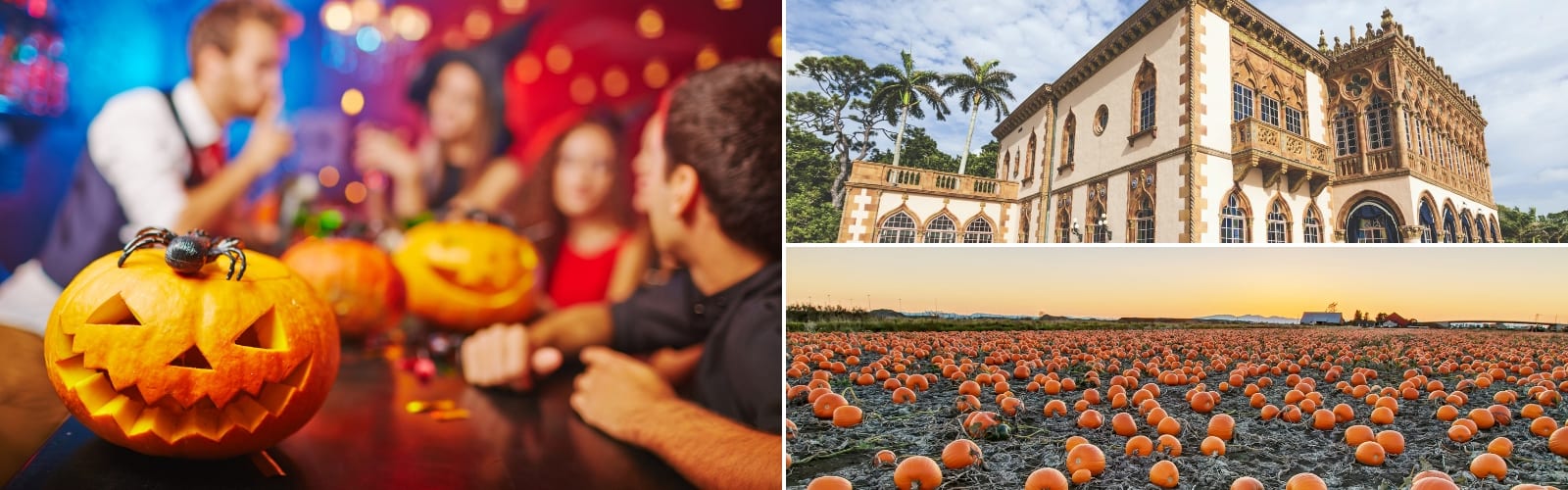 Fun Fall Events in Sarasota